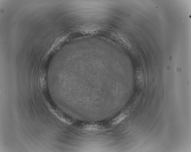 X0000072960408200608111656