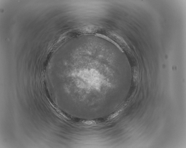 X0000072960409200608111656