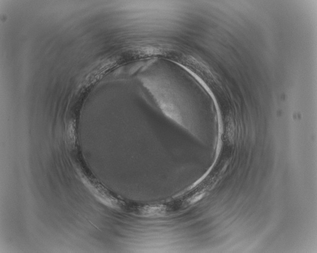 X0000072960410200608111656