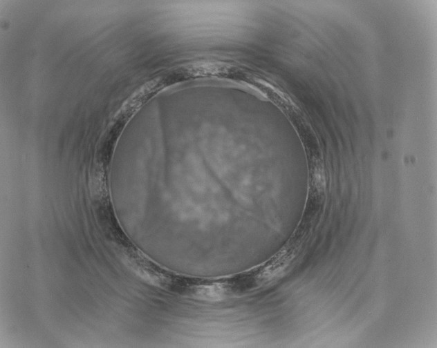 X0000072960411200608111656