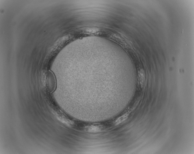 X0000072960412200608111656