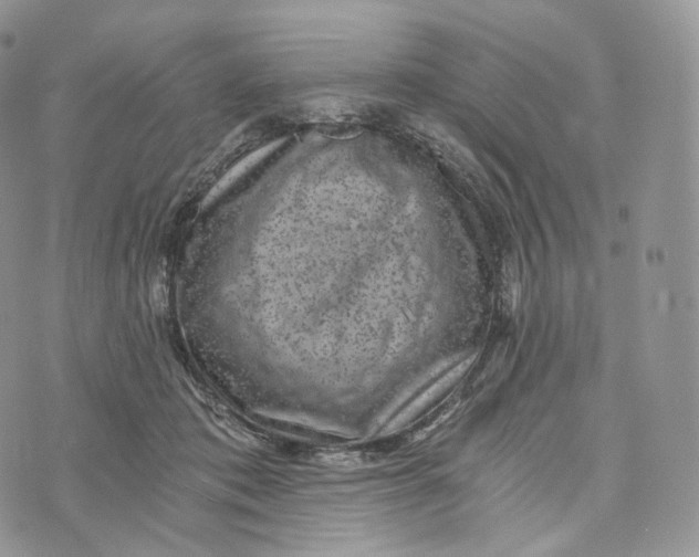 X0000072960413200608111656