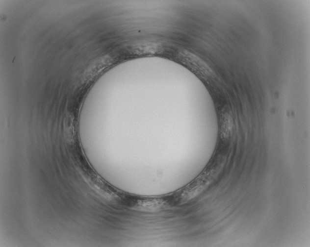 X0000072960414200608111656