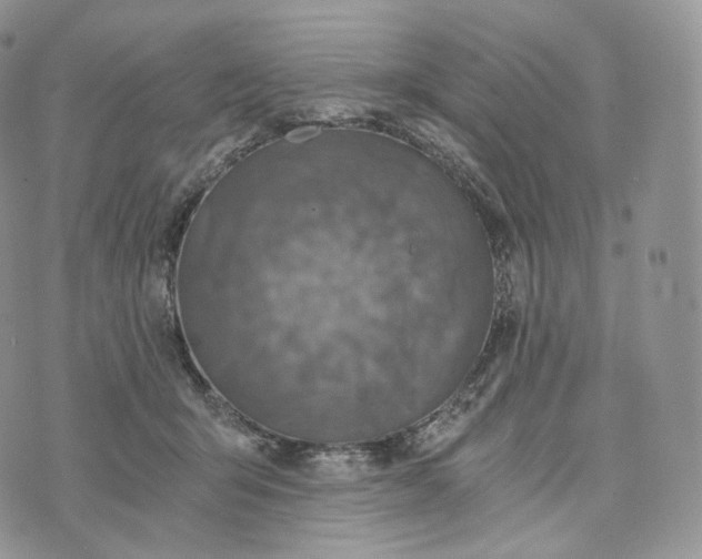 X0000072960415200608111656