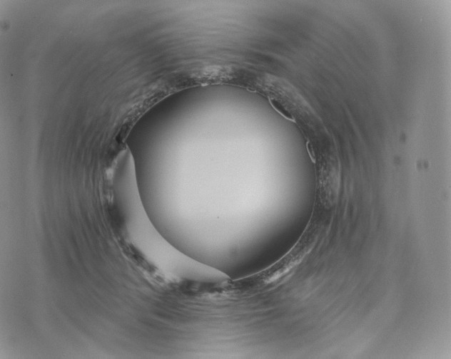 X0000072960416200608111656