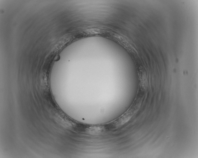 X0000072960418200608111656