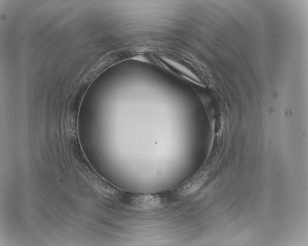 X0000072960421200608111656