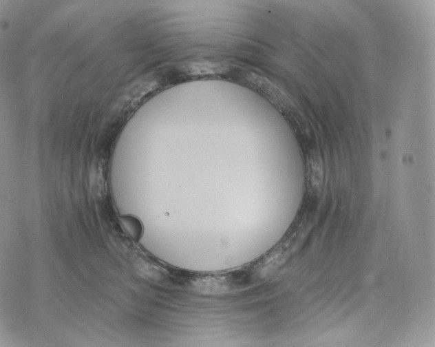 X0000072960422200608111656