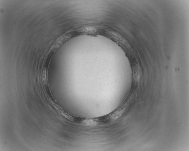 X0000072960425200608111655