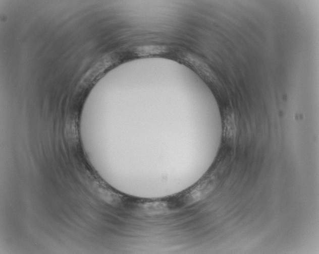 X0000072960426200608111655