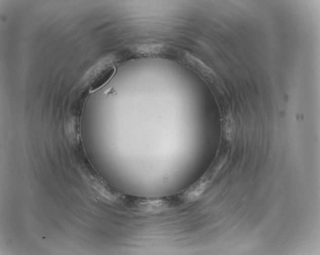 X0000072960428200608111655