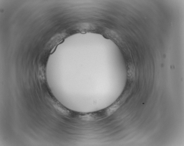 X0000072960430200608111655