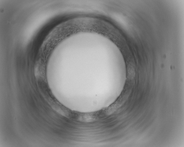 X0000072960431200608111655