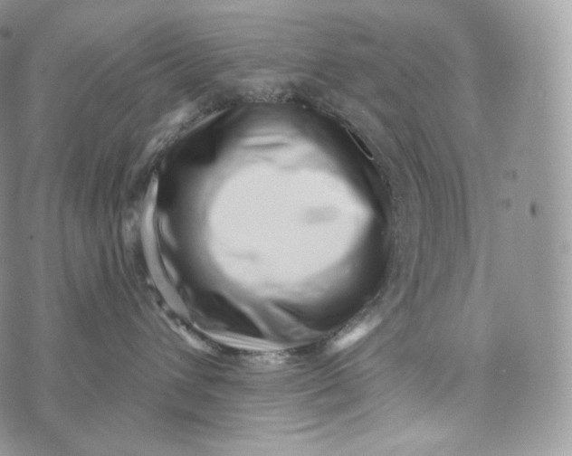 X0000072960432200608111655