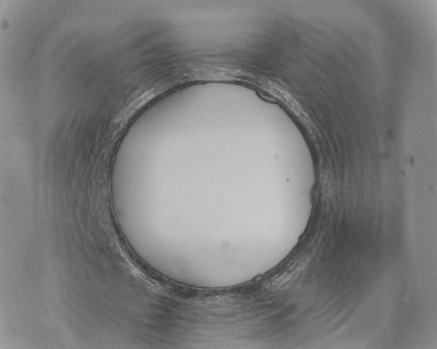 X0000072960433200608111655