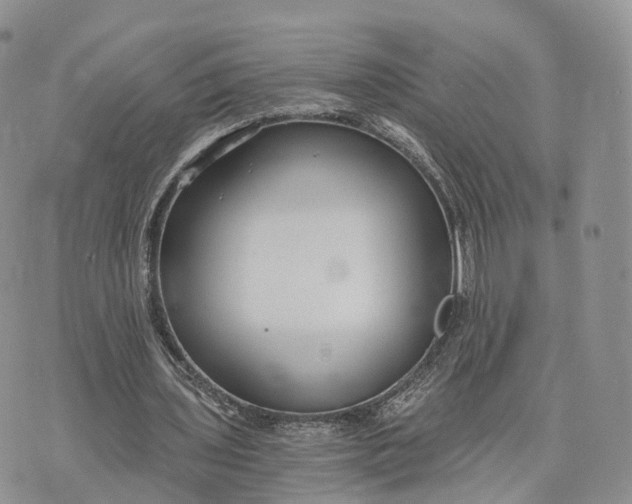 X0000072960435200608111655