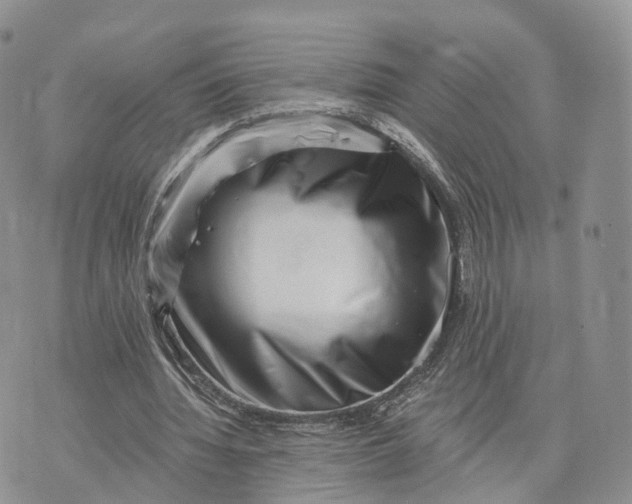 X0000072960436200608111655