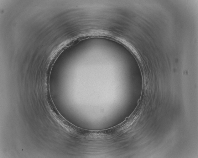 X0000072960437200608111655