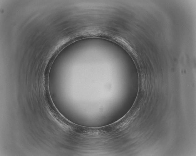 X0000072960439200608111655