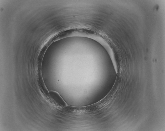 X0000072960440200608111655