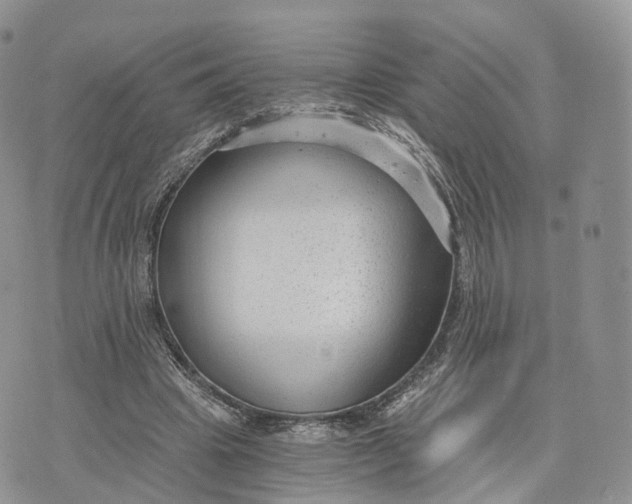 X0000072960441200608111655