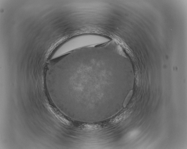 X0000072960442200608111655