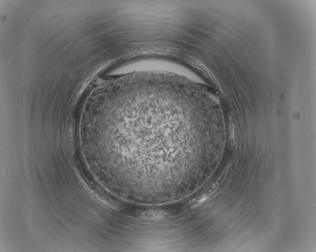 X0000072960444200608111655