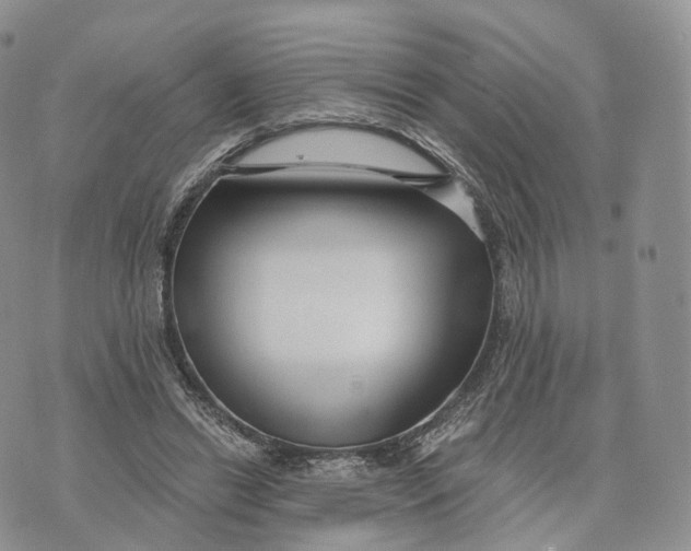 X0000072960446200608111655