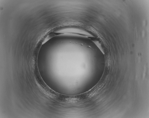 X0000072960448200608111655