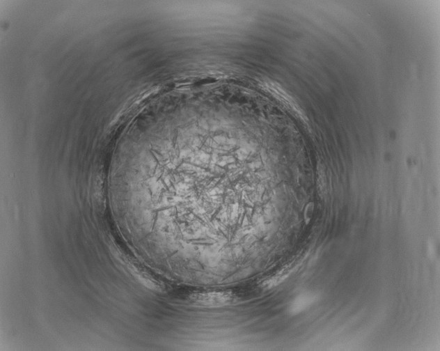 X0000072960449200608111655