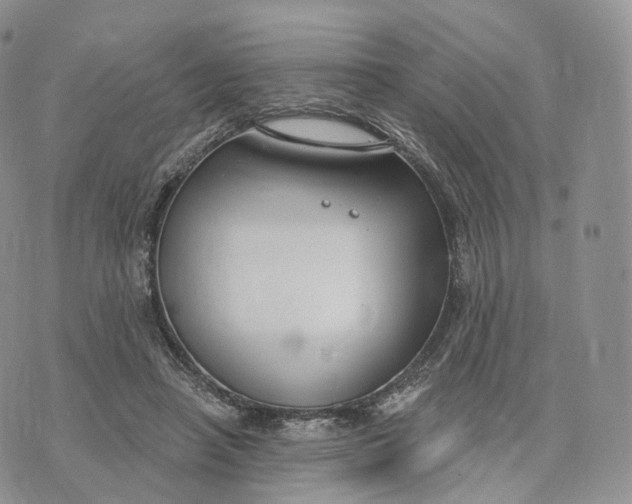 X0000072960450200608111655