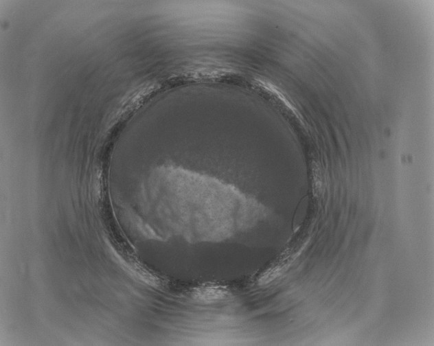 X0000072960451200608111655