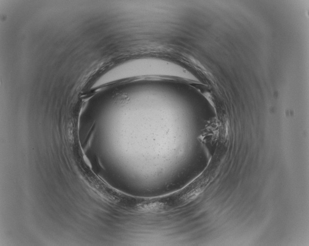 X0000072960452200608111655