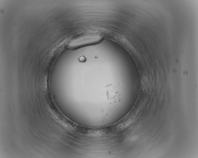 X0000072960454200608111655