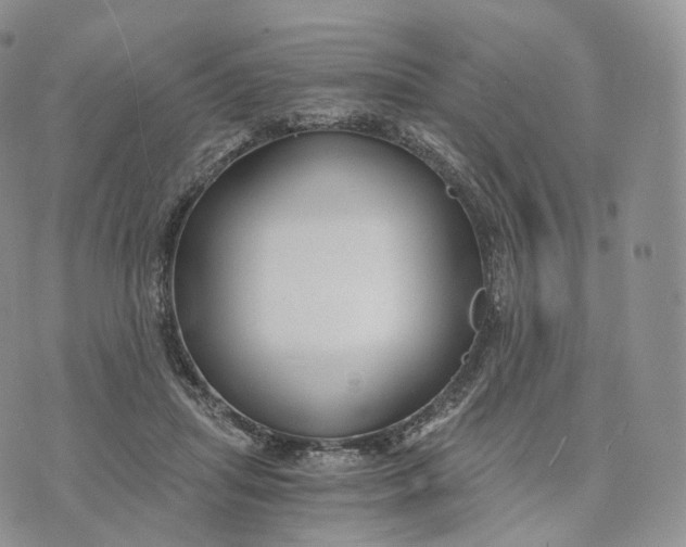 X0000072960455200608111655