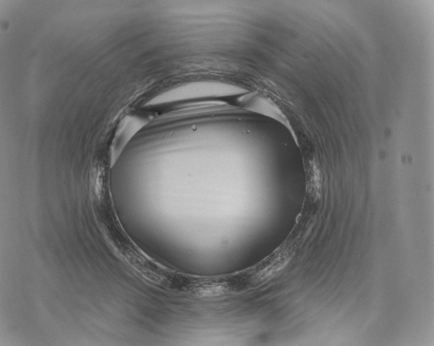 X0000072960456200608111655