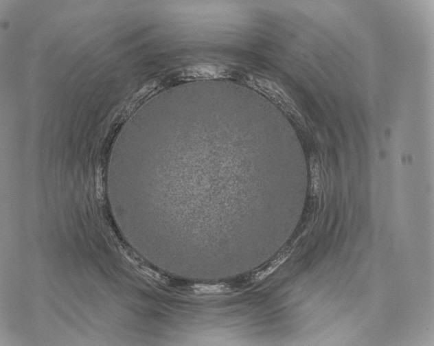 X0000072960457200608111655