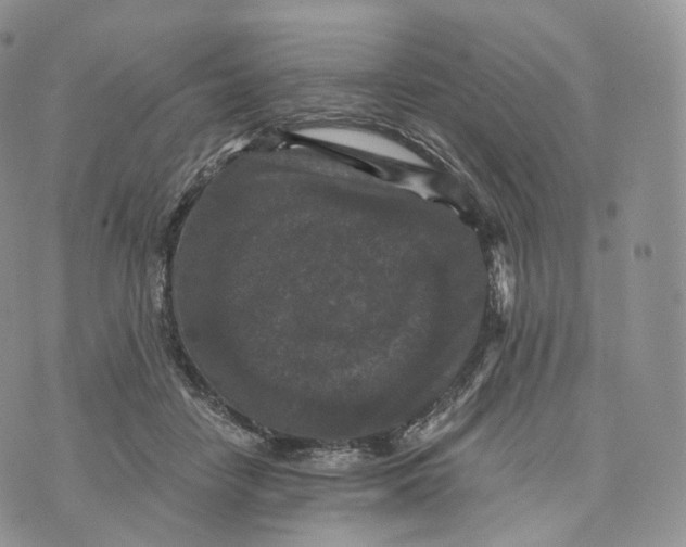 X0000072960458200608111655