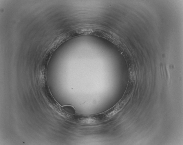 X0000072960460200608111655