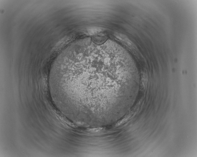 X0000072960461200608111655