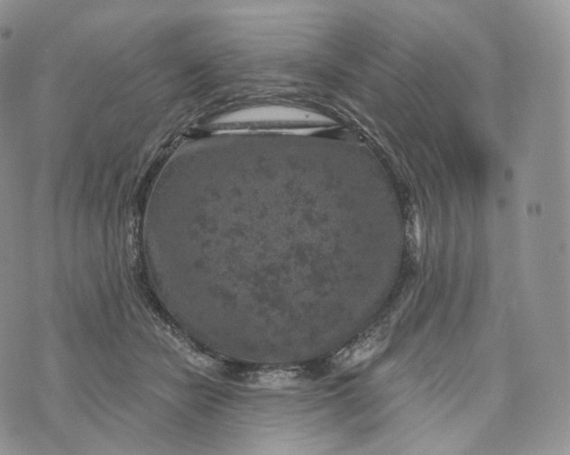 X0000072960462200608111655