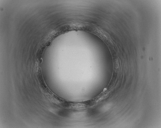 X0000072960463200608111655