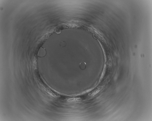 X0000072960465200608111655