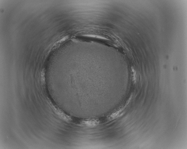 X0000072960466200608111655