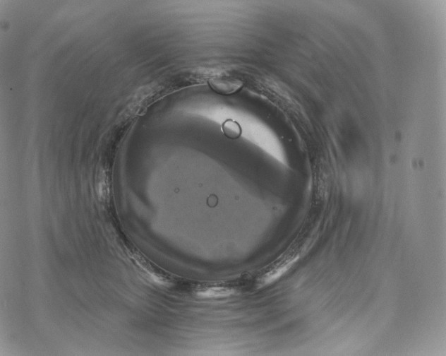 X0000072960467200608111655