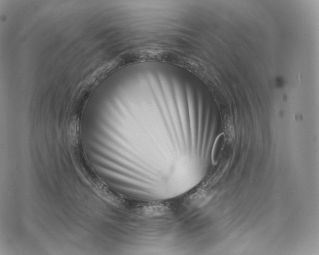 X0000072960468200608111655