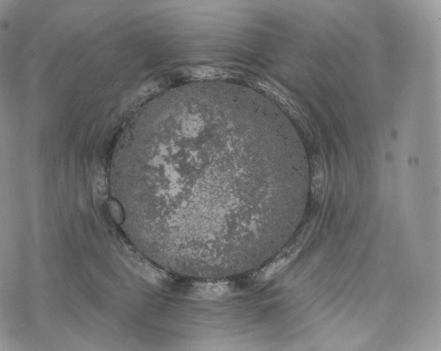 X0000072960469200608111655