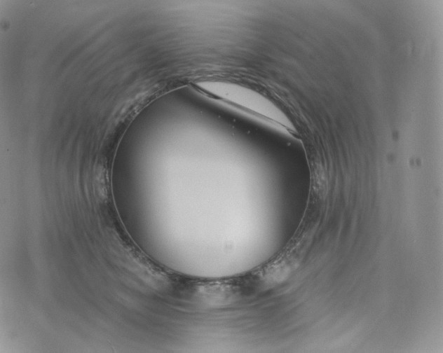 X0000072960470200608111655