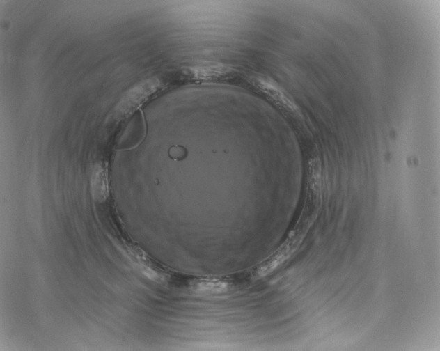 X0000072960471200608111655