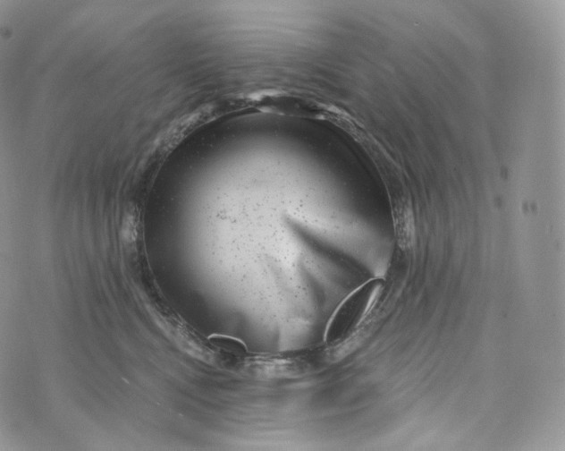 X0000072960472200608111655